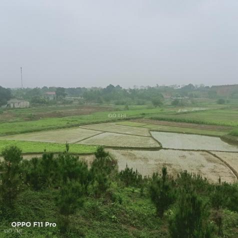 Bán khuôn viên biệt thự sẵn, tại thôn Muỗi Yên Bài Ba Vì, nằm trong quần thể cả khu nghỉ dưỡng 13566650