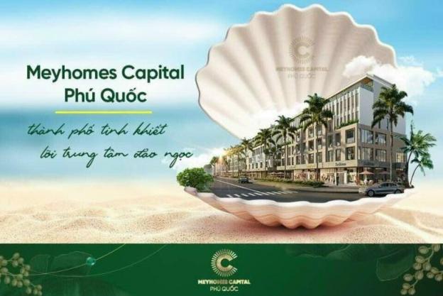 Đại đô thị Meyhomes Capital Phú Quốc diện tích giá 10 tỷ 13567146