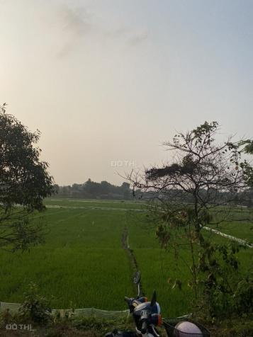 Chính chủ gửi bán lô đất 656m2 view cánh đồng đẹp tại Cổ Đông 13575901