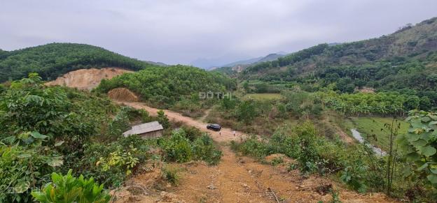 Cơ hội sở hữu cho các nhà đầu tư 30ha đất rừng sản xuất rẻ đẹp tại Kỳ Sơn, Hòa Bình 13577114