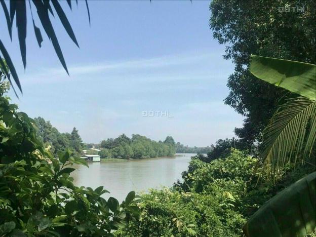 Bán đất xã Tân Bình, Huyện Vĩnh Cửu mặt tiền sông, diện tích 2300m2 13578795