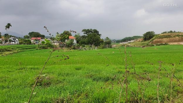Bán đất Lương Sơn diện tích 2.3ha view cánh đồng 13582216