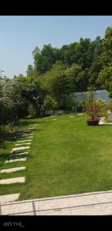 Bán đất vườn nghỉ dưỡng xã Tân Thông Hội, Củ Chi diện tích 545 mét vuông 13583264