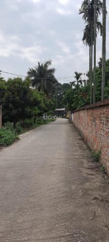 Chính chủ gửi bán 170m2 đất thôn Đồng Quán, xã Cổ Loa, Đông Anh, Hà Nội 13586908