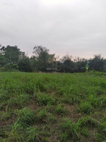 Bán 1384m2 đất thổ cư bám đường Phan Đình Giót tại Nhuận Trạch, Lương Sơn, Hòa Bình 13587755
