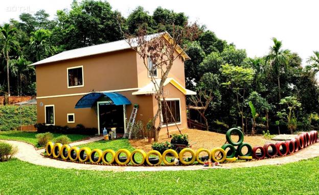 Chuyển nhượng một bức tranh thiên nhiên có tên gọi Dandelion Garden 13588398