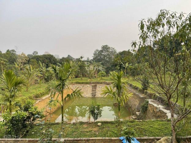 Cần nhượng gấp 3.630m2 đất làm nhà vườn nghỉ dưỡng tại thị trấn Lương Sơn, Hòa Bình 13590211