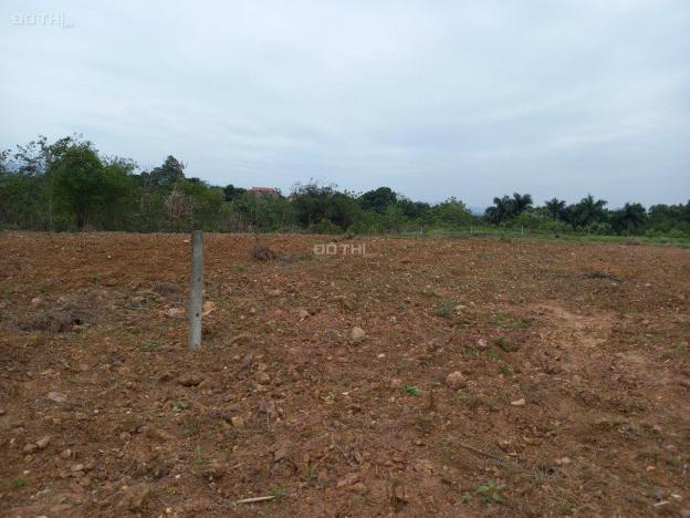 Cơ hội cho các nhà đầu tư lô đất phù hợp phân lô tại Hòa Sơn, Lương Sơn, Hòa Bình diện 7137m2 13590993