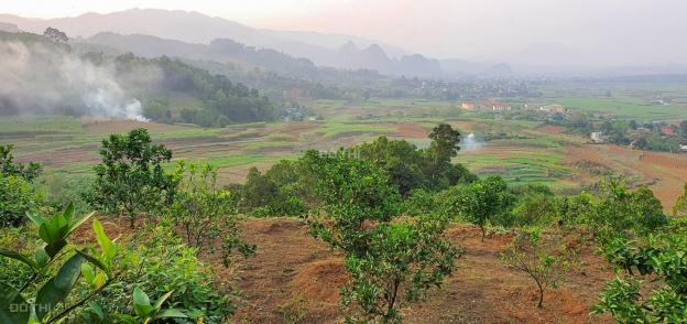 Siêu phẩm hơn 3,6ha đất rsx giá cực sốc tại Nam Phong, Cao Phong, Hoà Bình 13591378
