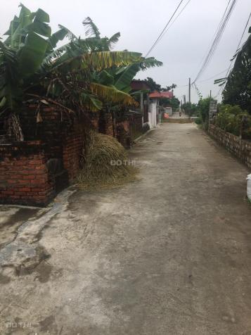 Bán đất chính chủ tại thôn Linh Đông 4, xã Tiến Phong, huyện Vĩnh Bảo, Hải Phòng. Giá tốt 13593069
