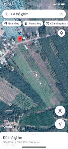 Bán gấp 14,350m2 đất trồng bưởi Phú Lý, Vĩnh Cửu, Đồng Nai 13594529