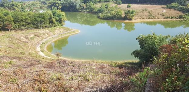 Chính chủ bán lô đất 6479m2 bám hồ Đập Đom tại Cư Yên, Lương Sơn, Hòa Bình 13596280