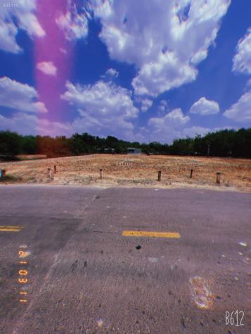Cần bán gấp 6600m2 đất sát đường Mỹ Phước Tân Vạn, sổ hồng riêng, giá 2,5 triệu / m2 + 300m2 đất 13603901