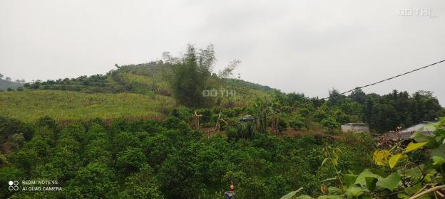Đất Cao Phong trồng cam 1200m2, giá rẻ nhất 13603903