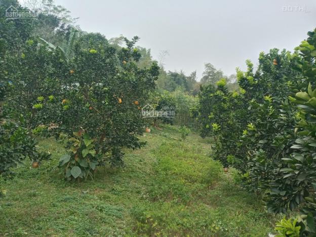 Bán đất phù hợp làm nhà vườn nghỉ dưỡng tại Lương Sơn, Hòa Bình, diện tích 4000m2 13518384