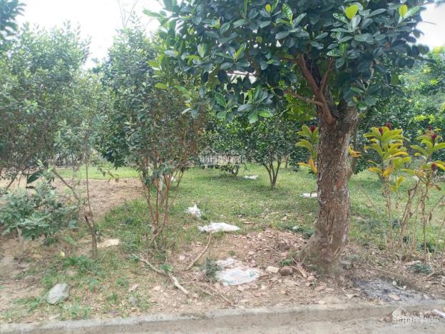 Bán đất phù hợp làm nhà vườn nghỉ dưỡng tại Lương Sơn, Hòa Bình, diện tích 4000m2 13518384