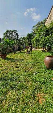 Bán biệt thự nhà vườn nhỏ xinh tại khu tái định cư B Nông trường Đồng Mô Ba Vì, giá hơn 3 tỷ 13614272