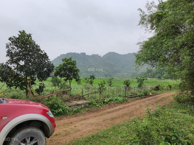 Bán gấp 3250m2 đất thổ cư view vị trí đẹp giá rẻ tại Lương Sơn, Hòa Bình 13615875