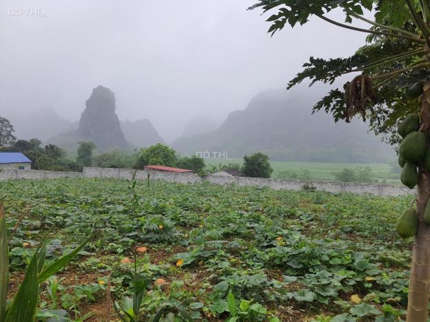 Bán 4000m2 đất thổ cư view tuyệt đỉnh giá mềm tại Lương Sơn, Hòa Bình 13616883