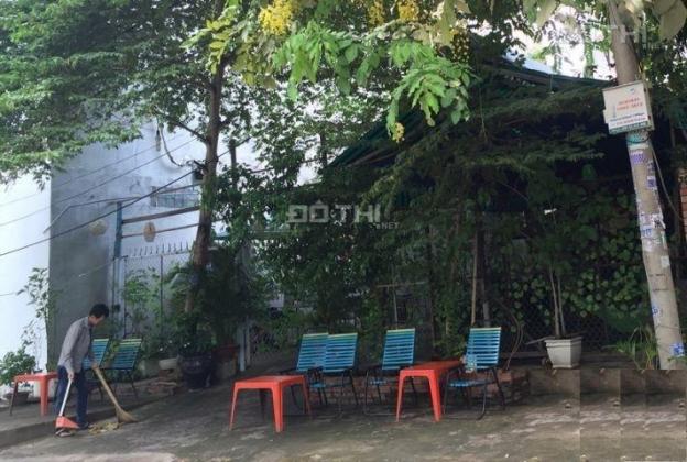 Giá rẻ bèo nhèo, 305,7 m2 (20.38x15)m Trần Thị Bốc, Hóc Môn, vị trí đẹp tiện kinh doanh 13619239