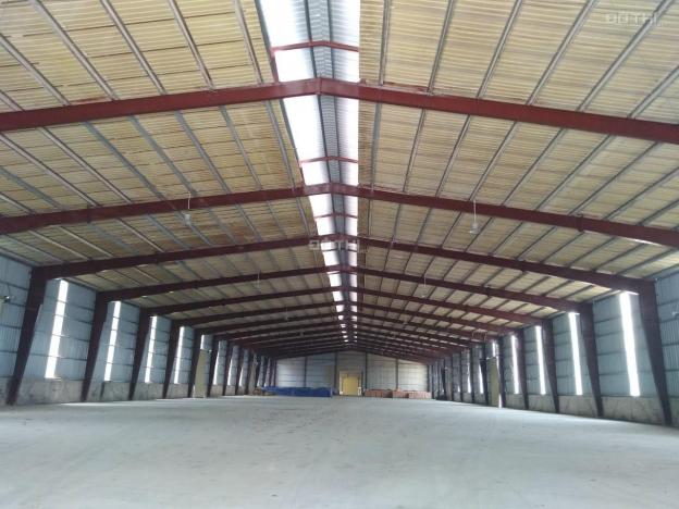 Cho thuê kho xưởng lớn 9000m2 khu công nghiệp Tân Đông Hiệp, Dĩ An, Bình Dương 13619304