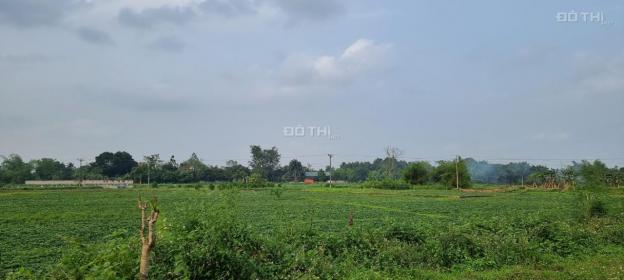 Cần bán gấp đất thổ cư Lương Sơn, sát dự án nghỉ dưỡng Lagecy Hill, view cánh đồng DT 6800m2 13620911