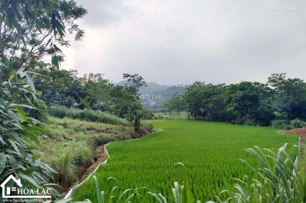 Yên Bài lô góc chỉ hơn 1 tỷ lô đất bám cánh đồng lúa, gần ủy ban xã, trường học 13622039