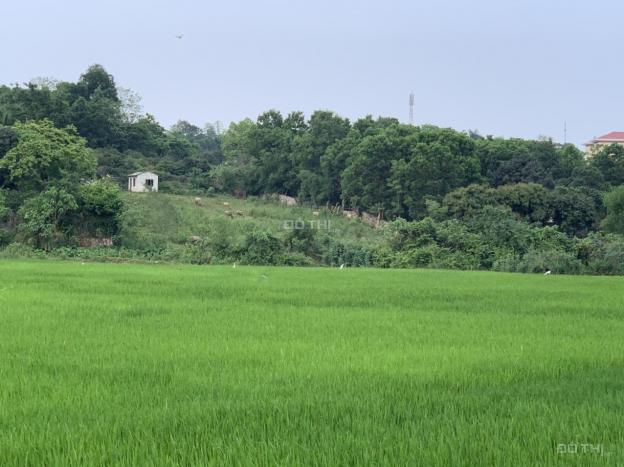 Bán gấp 2800m2 đất thổ cư view cánh đồng tuyệt đẹp tại Hòa Sơn, Lương Sơn, Hòa Bình 13622405