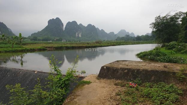 Bán đất tại đường Hồ Chí Minh, Xã Cao Dương, Lương Sơn, Hòa Bình diện tích 12500m2 giá 6 tỷ 13625645