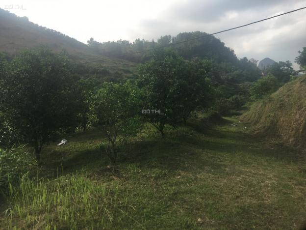 Cần bán đất diện tích khủng tại Cao Phong, Hòa Bình giá hơn 7 nghìn/m2 13629216