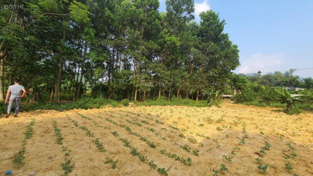Chỉ với 650 triệu có ngay 840m2 full thổ cư view cánh đồng tuyệt đẹp tại Kim Bôi, Hòa Bình 13630052