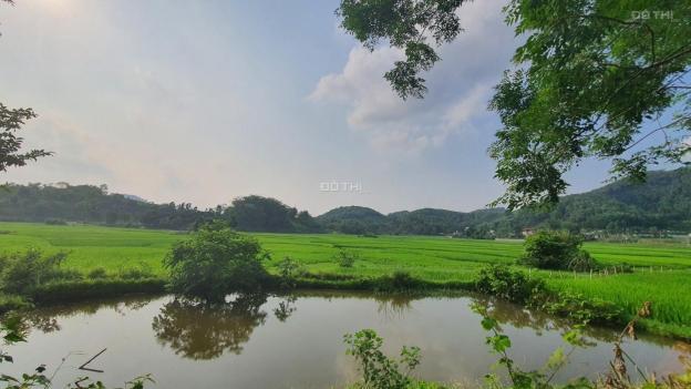Chỉ với 650 triệu có ngay 840m2 full thổ cư view cánh đồng tuyệt đẹp tại Kim Bôi, Hòa Bình 13630052