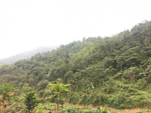 Cần bán 25ha đất rừng sản xuất giá chỉ với 200 triệu/ha tại Kim Bôi, Hòa Bình 13630799