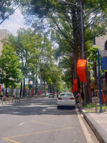 Bán nhà mặt phố tại đường Pasteur, Phường Bến Nghé, Quận 1, Hồ Chí Minh DTCN 113m2 giá 98 tỷ 13637006