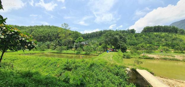 Siêu phẩm đất làm trang trại nhà vườn tuyệt đẹp tại Lạc Thủy, Hòa Bình với diện tích 4ha 13637311