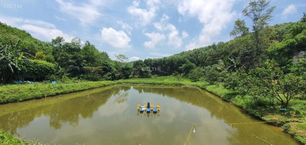 Siêu phẩm đất làm trang trại nhà vườn tuyệt đẹp tại Lạc Thủy, Hòa Bình với diện tích 4ha 13637311