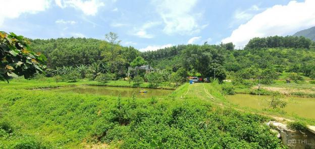 Siêu phẩm đất làm trang trại nhà vườn tuyệt đẹp tại Lạc Thủy, Hòa Bình với diện tích 4ha 13637311