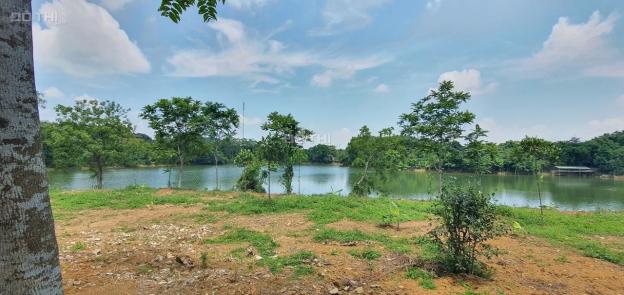 Cơ hội sở hữu ngay 3100m2 đất thổ cư view hồ tại Lạc Thủy, Hòa Bình 13637314