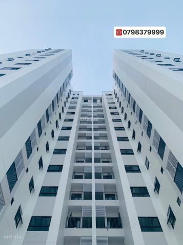 Cần bán các căn hộ chung cư CT4 VCN Phước Hải, chuẩn bị có sổ hồng 13641501