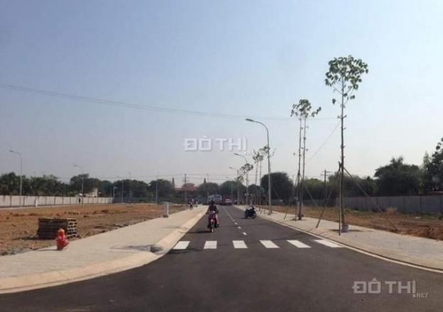 Chủ đất cần tiền bán đất nền dự án đại học Bách Khoa, đường Đỗ Xuân Hợp, Phường Phú Hữu, Quận 9 13641758