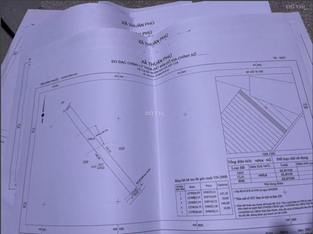 Đất sào 1000m2 mặt tiền đường nhựa 9m cần bán gấp 13643676