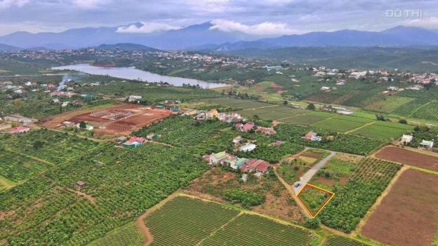 Chính chủ bán gấp lô đất gần Hồ Tây, ngay đường Ngô Quyền, thị trấn Di Linh, Lâm Đồng 13647530