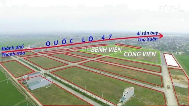 Độc nhất 2 lô đất ngoại giao đối diện công viên 2,1 ha, bệnh viện Quốc tế 18 tầng tại Triệu Sơn 13656574