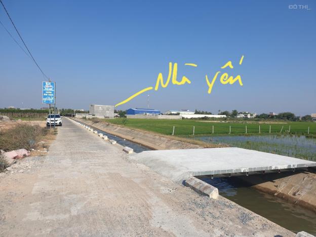 Bán 1000m2, sau lưng tái định cư Long Bình, (gần quán ăn Ngô Đồng), xã An Hải, Ninh Phước, Ninh Thu 13662930