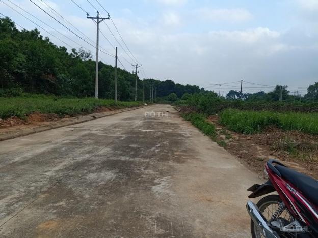 Bán đất tại đường Đại lộ Thăng Long, Xã Yên Bài, Ba Vì, Hà Nội diện tích 115.8m2, 15 tr/m2 13664467
