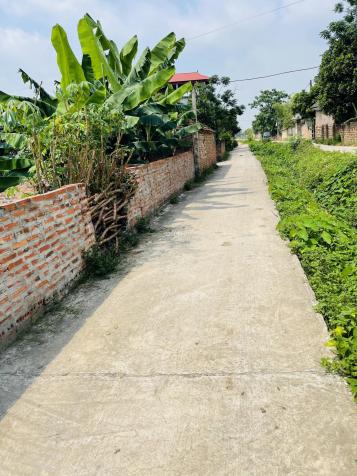 Bán đất tại đường Quốc Lộ 35, Xã Minh Phú, Sóc Sơn, Hà Nội diện tích 116m2 giá 7 triệu/m2 13664648