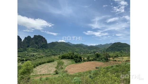 Chỉ với vài trăm triệu sở hữu ngay 2500m2 có 200m2 TC view đẹp làm homestay, farmstay tại Hòa Bình 13670919