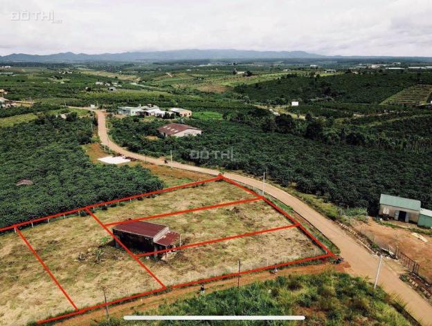 Bán đất tại xã Đam Bri, Bảo Lộc, Lâm Đồng diện tích 564m2, giá 1.25 tỷ 13671177