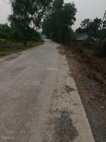 Bán đất ở xã Tân Thạnh Tây, Củ Chi, TP HCM, diện tích 500 - 1000m2 13674393