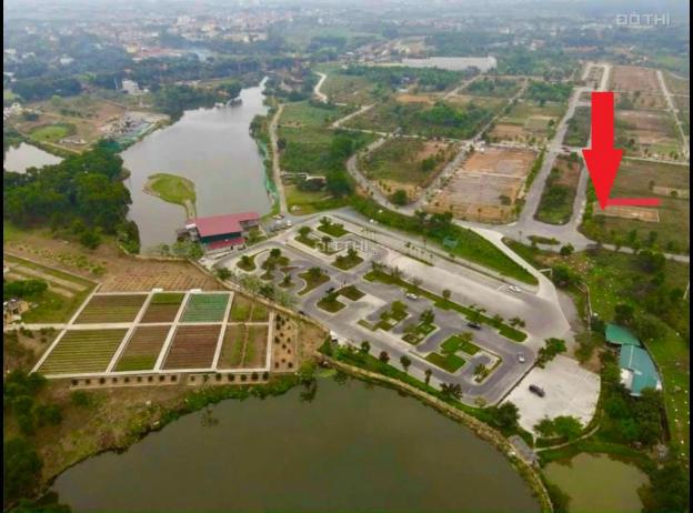 Cần tiền bán gấp lô đất 200m2 khu tái định cư ĐHQG Hòa Lạc, giá rẻ. LH: 0969320567 13674895